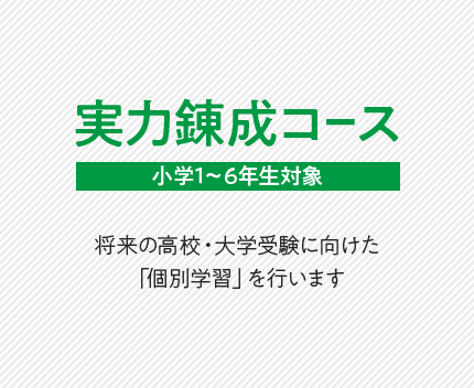 実力錬成コース